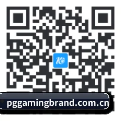iOS 苹果版 二维码